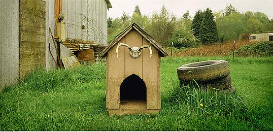 XGP下一批游戏阵容泄露 包括《龙腾世纪2》等